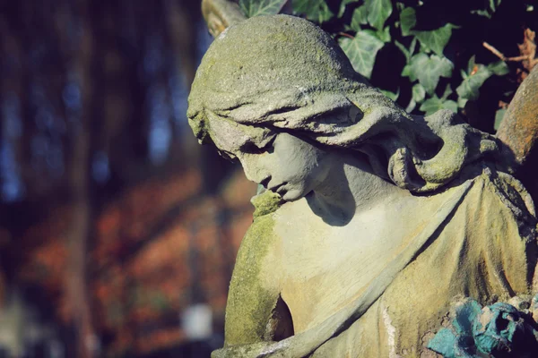 Imagem Vintage Anjo Triste Cemitério Contra Fundo Das Folhas Detalhes — Fotografia de Stock