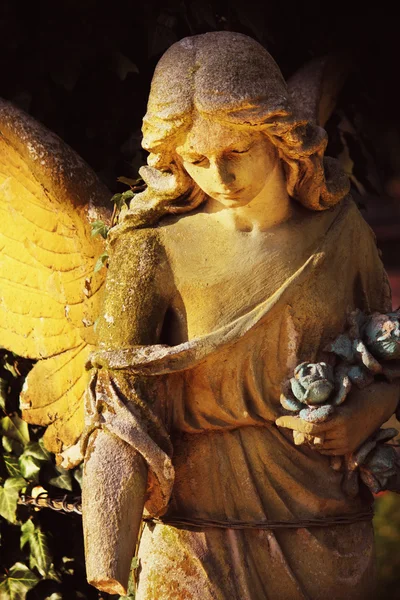 Vintage image of a sad angel on a cemetery against the backgroun — Stock Photo, Image