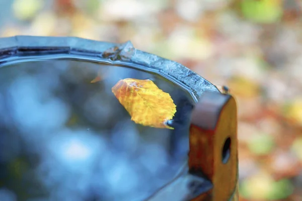 Goldene Blätter Einem Holzeimer Mit Klarem Wasser Herbstfotografie Als Symbol — Stockfoto