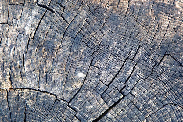 Старая Богатая Текстура Дерева Фон Дизайна Горизонтальное Изображение — стоковое фото