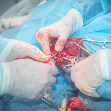 Veteriner ameliyatı. Sağlık, hayvan, hastane, tedavi ve tıp konsepti. 