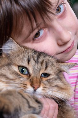Genç ve güzel bir kızın portresi şefkatli ve sevgi dolu sevimli bir kediye sarılıyor. Çocukların gözlerine seçici odaklanma.
