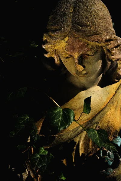 Sad eyes of beautiful sad angel. Fragment of an ancient stone statue. Vertical image.