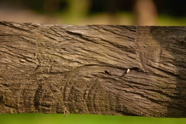 Kalas arka planının eski güzel ahşap dokusu..