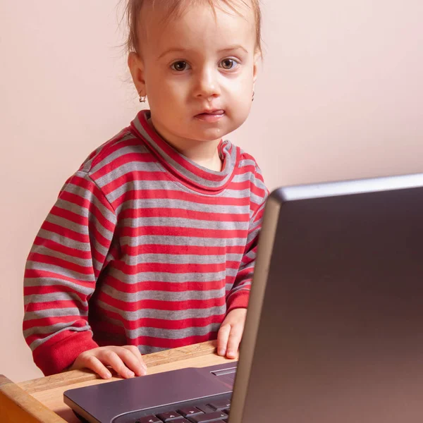Educational software for kids. Humorous photo of a little baby girl working with a laptop.