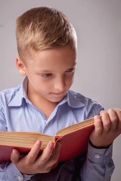 Kleiner Junge Liest Buch Als Symbol Für Bildung Und Selbstentwicklung — Stockfoto