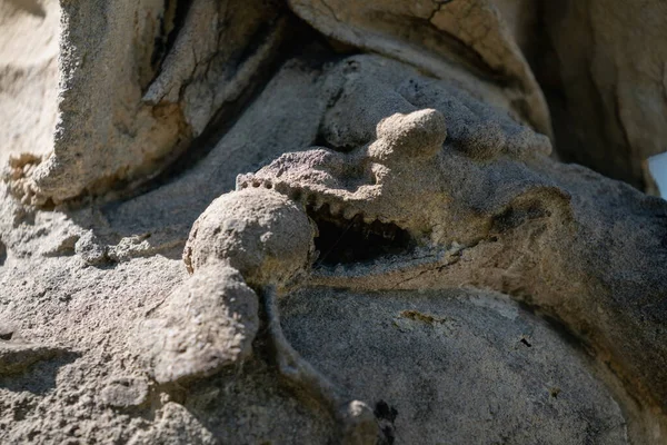 Religious symbol of Christianity: Close up Virgin Mary crushing with her foot the serpent as a symbol of the victory of good over evil. Fragment of an ancient statue. Horizontal image.