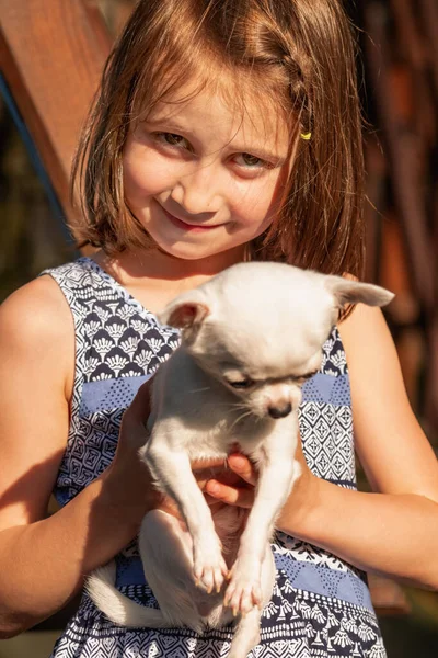 Real emotions of happiness and joy. A dog as a gift to child. Very happy beautiful young girl without upper teeth laughing and holding little dog. Vertical image.