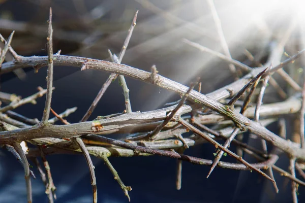 Corona Natural Espinas Como Símbolo Muerte Resurrección Jesucristo Cerca —  Fotos de Stock