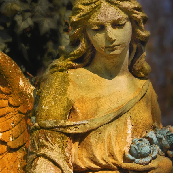 Vintage Image Sad Beauutiful Angel Cemetery Background Leaves — Stock Photo, Image