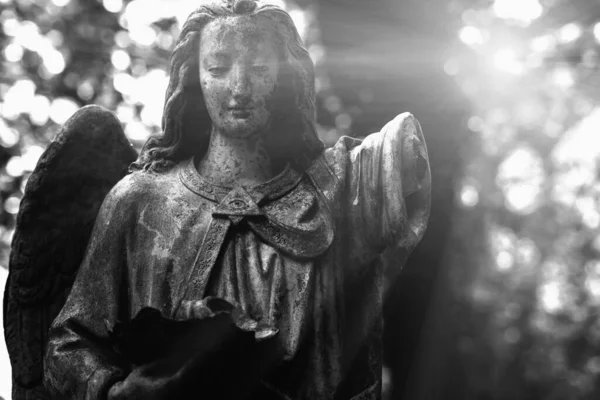 Anjo Guarda Imagem Preto Branco Antiga Estátua Pedra — Fotografia de Stock