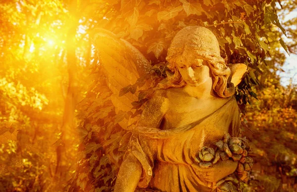 太陽の下で黄金の天使 永遠の概念 — ストック写真