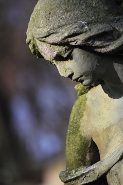 aşk Afrodit (Venüs tanrıçası)
