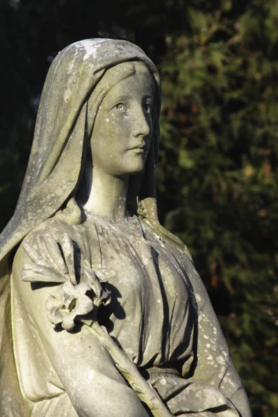 Statue der Jungfrau Maria — Stockfoto