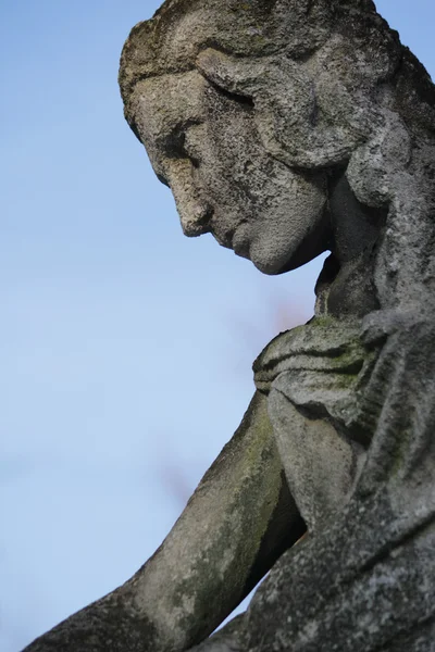 Gudinnan av kärlek Afrodite (venus) — Stockfoto