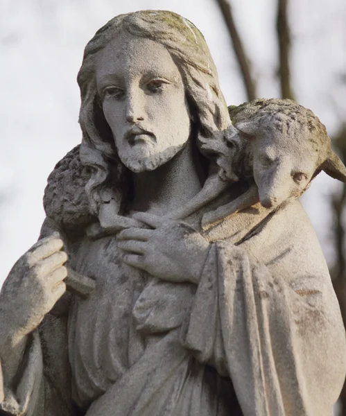 Tanrı aşkına - Good Shepherd (Sanat kompozisyon)