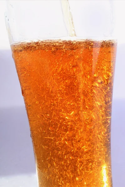 Beer — Stock Photo, Image