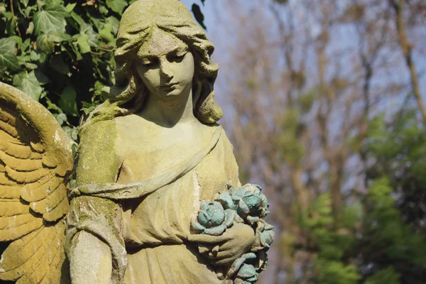 Angel (friedhof architekturen - europa) — Stockfoto