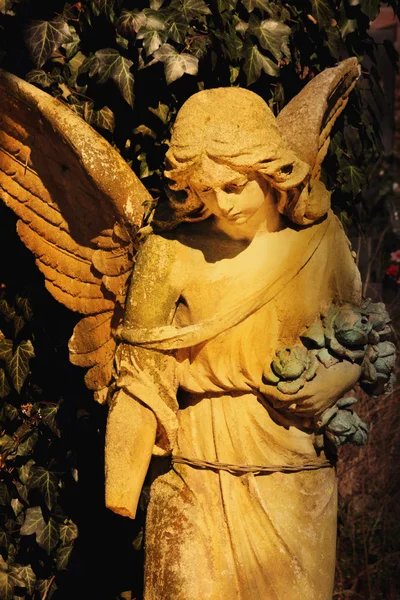 Ange d'or dans la lumière du soleil (statue antique ) — Photo