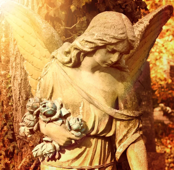 Figura de anjo — Fotografia de Stock