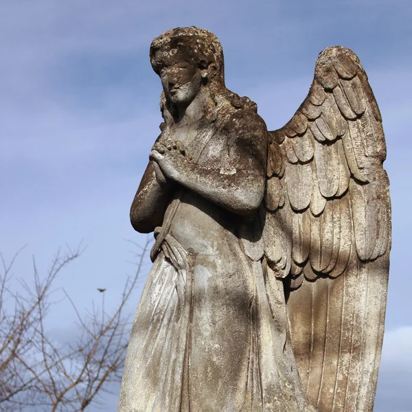 Figure of a praying angel on a blue sky Stock Image