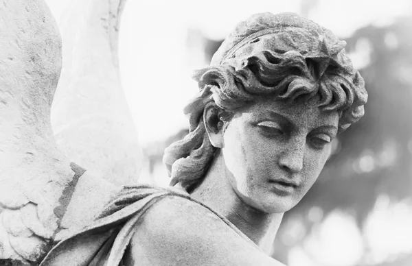 Винтажное изображение грустного ангела на кладбище с рассеянным спином — стоковое фото