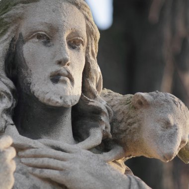 Tanrı aşkına - iyi çoban 