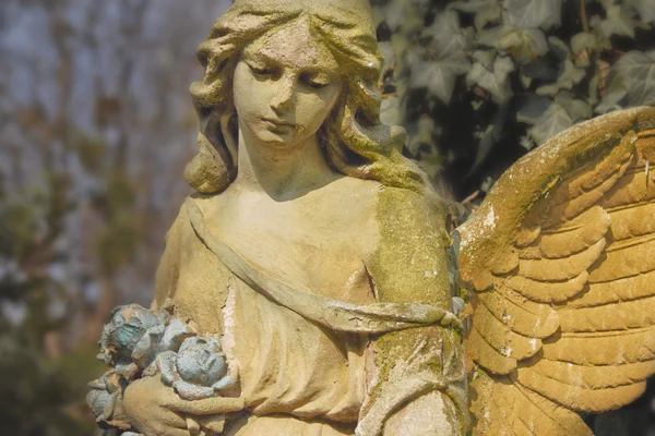 Vintage image of a sad angel on a cemetery against the backgroun — Stock Photo, Image