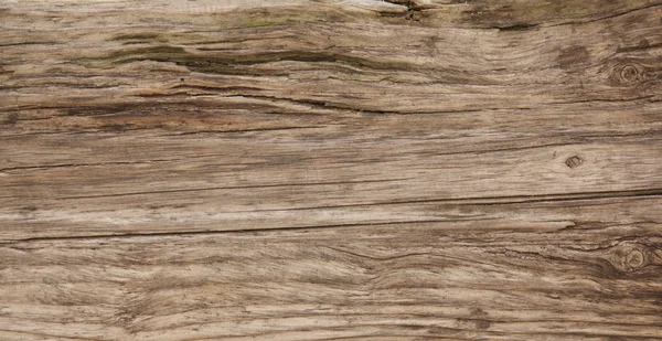 Textura de madeira — Fotografia de Stock