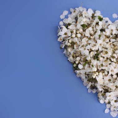 mavi bir arka plan üzerinde çiçek kalp