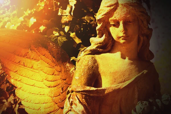 Ángel de oro en la luz del sol (estatua antigua ) — Foto de Stock