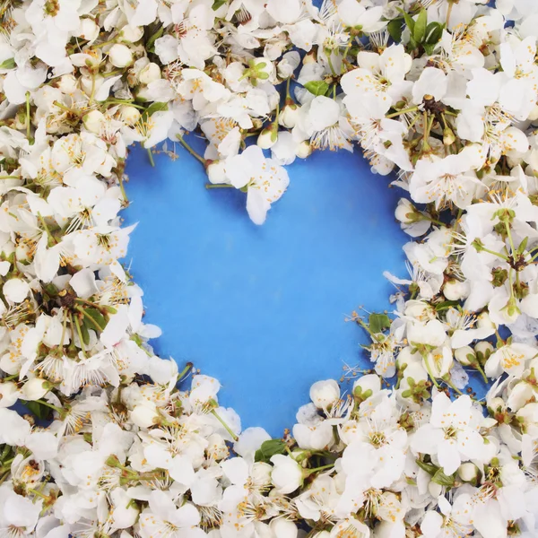 Kwiatowy serca na niebieskim tle — Zdjęcie stockowe