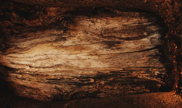 Textura de madera —  Fotos de Stock