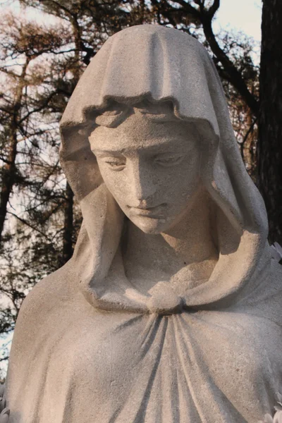 Statua della Vergine Maria — Foto Stock