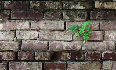 eski kirli kırmızı tuğla duvar dokusu