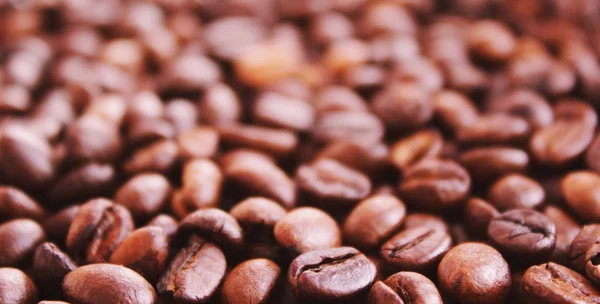 Coffee grunge background — Stock Photo, Image