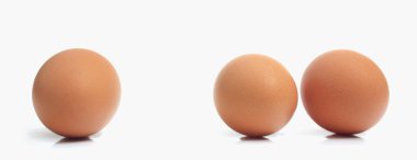 Beyaz arkaplanda yumurtalar