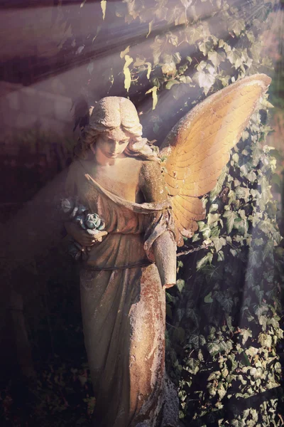 Golden angel in the sunlight (antique statue) — Stock Photo, Image