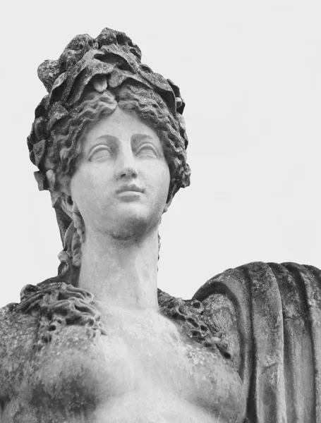 La diosa del amor Afrodita (Venus ) —  Fotos de Stock