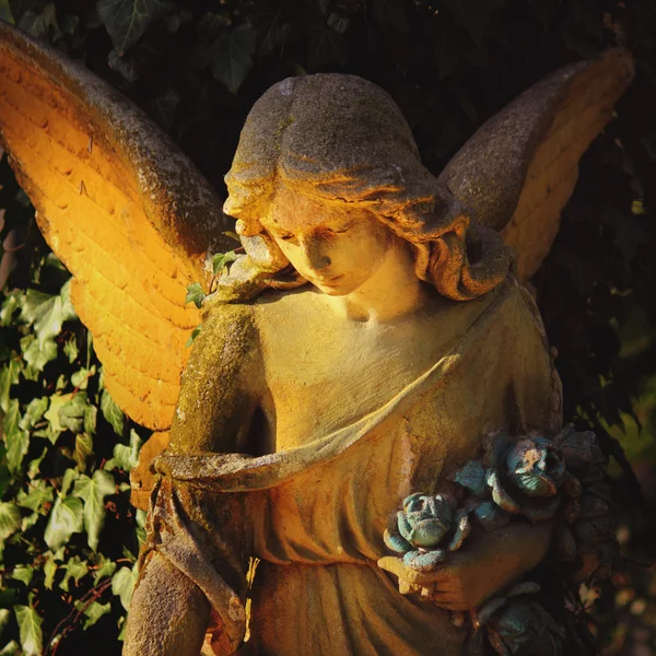 Golden angel in the sunlight (antique statue) — Stock Photo, Image