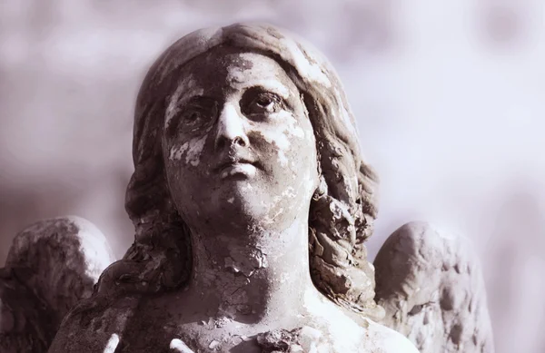 Vintage image of a sad angel on a cemetery — Stock Photo, Image