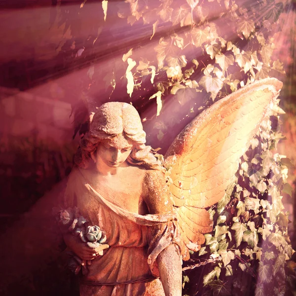 Золотий ангел на сонці ( старовинна статуя ) — стокове фото