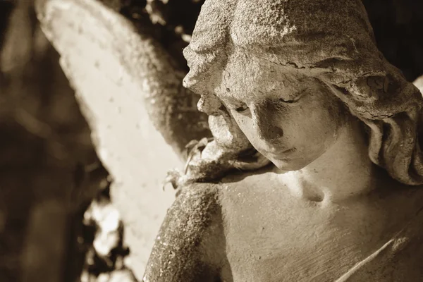 Vintage image of a sad angel on a cemetery — Stock Photo, Image