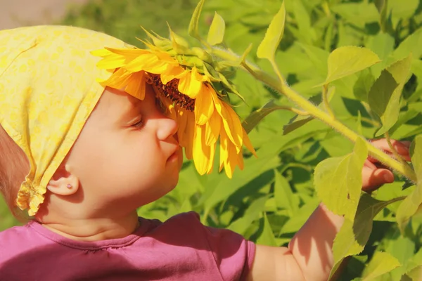 Küçük kız kokulu ayçiçeği — Stok fotoğraf