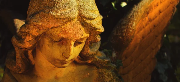 Винтажное изображение грустного ангела на кладбище против спины — стоковое фото