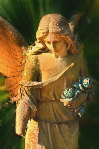 Angel — Stock Photo, Image