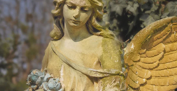 Vintage obraz smutný anděl na hřbitov proti poza — Stock fotografie
