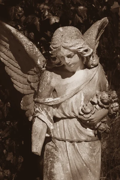 Image vintage d'un ange triste sur un cimetière — Photo