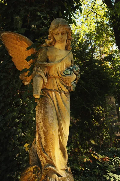 Engel mit Flügeln — Stockfoto