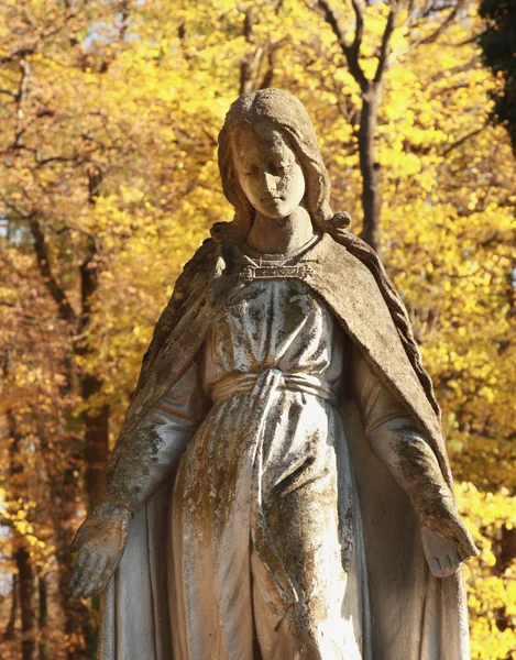 Estátua de Maria virgem — Fotografia de Stock